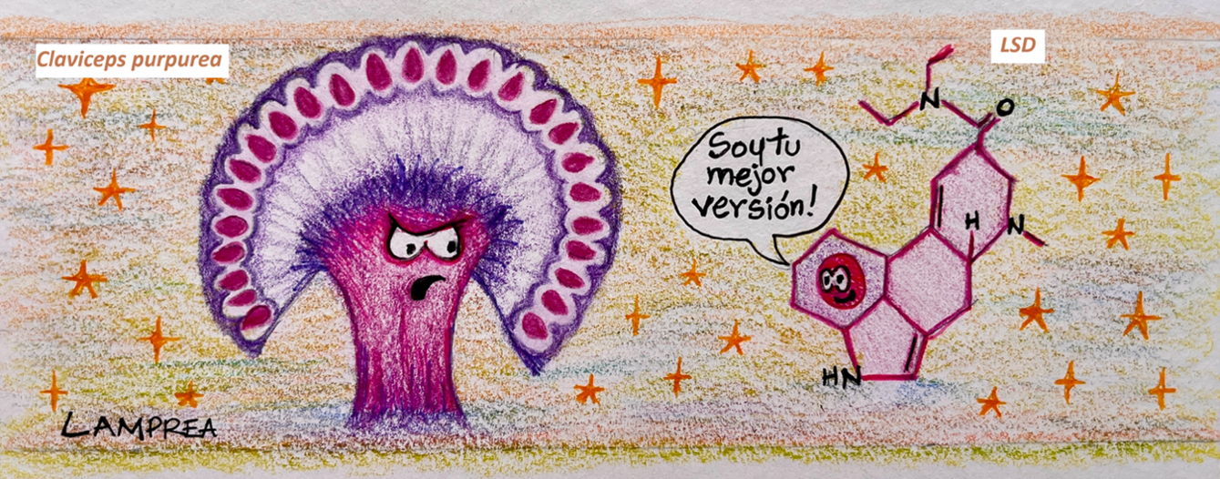 La imagen actual no tiene texto alternativo. El nombre del archivo es: Imagen1.png